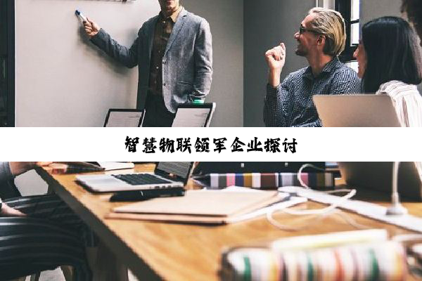 智慧物联领军企业探讨